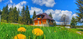 Apartmani Nišićka Oaza